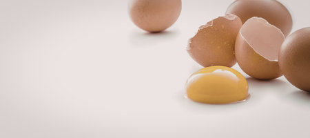 Broken brown egg with visible yolk surrounded by intact eggs on a white background, symbolizing...