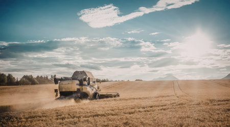 Combine harvester operates in a vast golden wheat field under a blue sky with sunlight and clouds, symbolizing harvest season and agricultural productivity.の写真素材