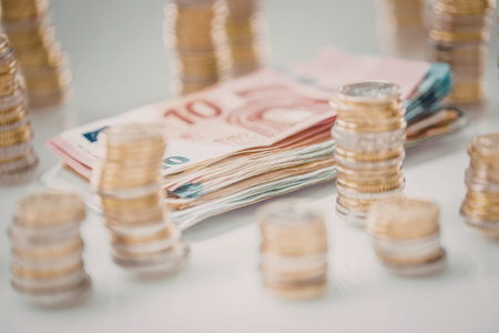 Euro banknotes and stacks of coins arranged on a white surface symbolizing financial wealth and...