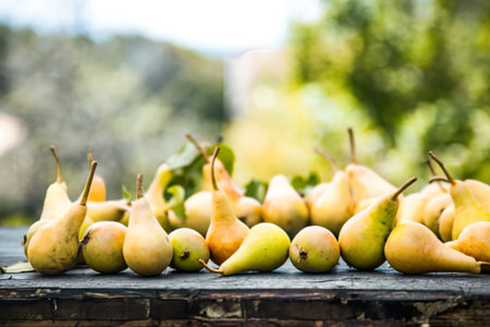 a blurry image of a bunch of pears sitting on a wooden surface, likely a table or bench, with greenery in the background