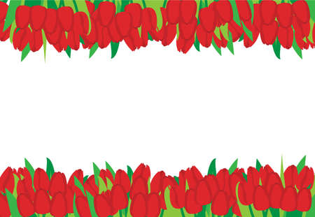 Red tulips with leaves banner, frame, border, template for design.のイラスト素材