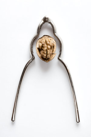 Walnut with Nutcracker on white background