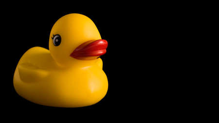 yellow rubber duck on white backgroundの写真素材