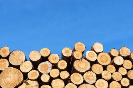 Photo of a stack of natural wooden logsの写真素材