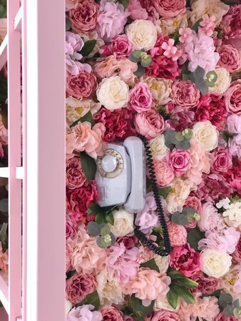 pink telephone box in colorsの写真素材