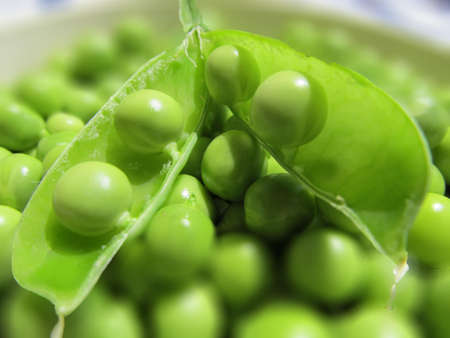 Peas - fresh vegetables from the gardenの写真素材