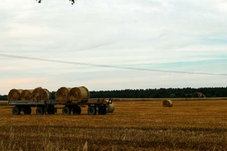 Bale - Agricultureの写真素材