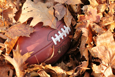 Football in the leaves