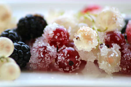 sugared berries - Macroの写真素材