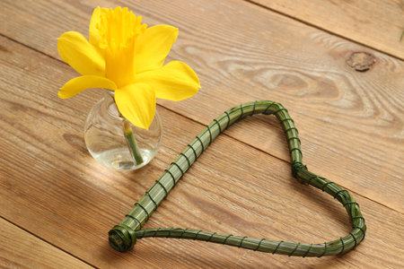 Daffodil with heart