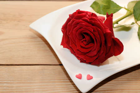 Rose und Herzenの写真素材