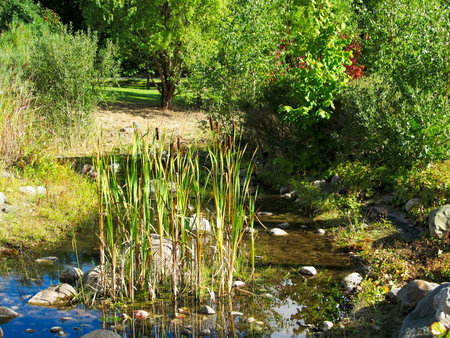 Teichanlageの写真素材