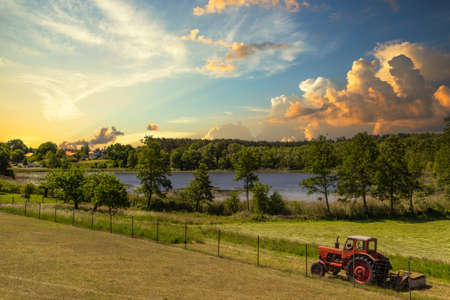 Field - agricultureの写真素材