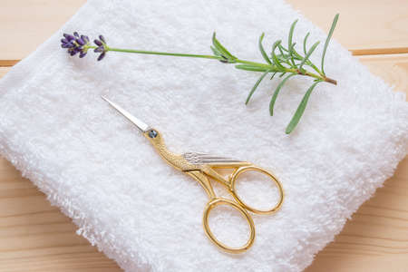 Stork cutters midwife - macroの写真素材