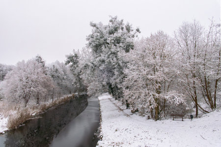 winter landscape of the river and trees covered with snow on a cloudy dayの写真素材