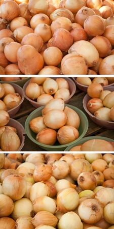 Pretty onions collectionの写真素材