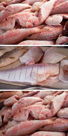 Tasty fresh Collection fishの写真素材