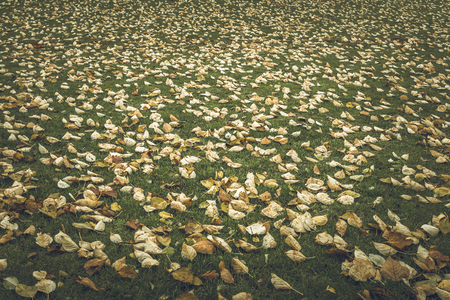 changing seasonsの写真素材