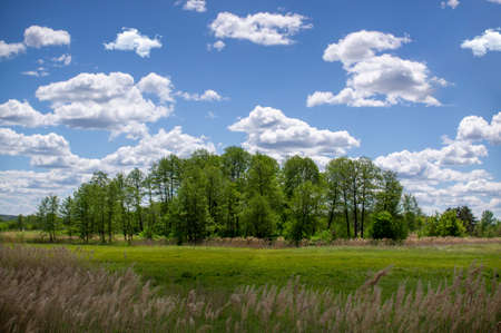 Bright spring landscape on a sunny spring day with a lot of white cloudsの写真素材