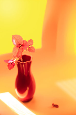 Still life with a pink flower in a bright red vase on a bright backgroundの写真素材