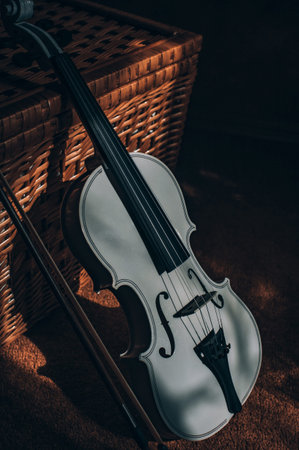 Snow-white violin against the background of a wicker chest with deep shadows