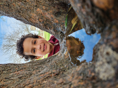 Cute little boy peeking out of a tree in a parkの写真素材