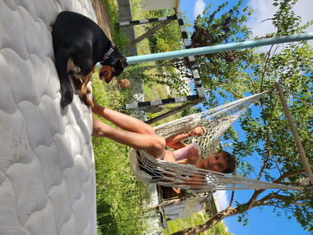 Young man with his dog on a hammock in the garden.の写真素材
