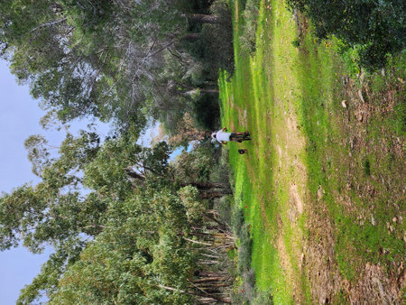 Aerial view of a tractor on a country road with trees in the backgroundの写真素材