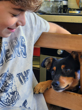 Little boy with a dog in the kitchen. Selective focus.の写真素材