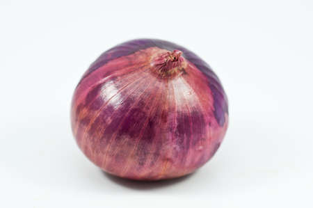 Onion is a herbの写真素材