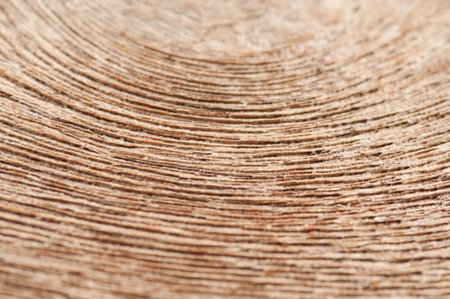 Wood texture background