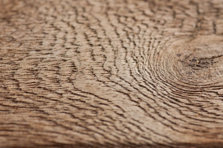 Wood texture background