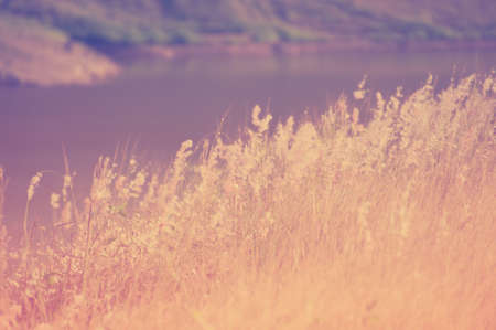 Meadow field beside lake with sun set lightの写真素材