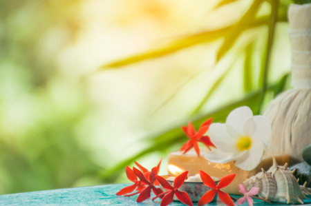 Candle spa with flowers and hand made soap with green nature background
