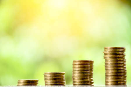 Rows of coins with nature background, finance and saving money conceptの写真素材