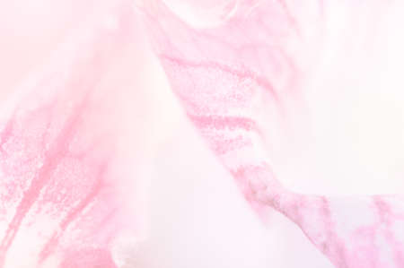 Sweet flower close up can be used for background, unfocusedの写真素材