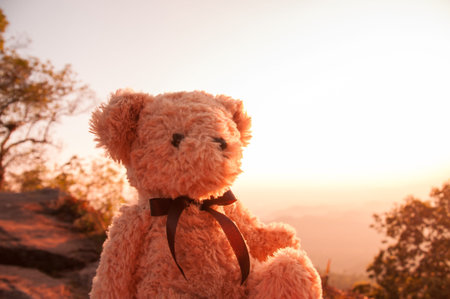 Teddy bear with sunset background