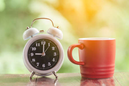 Coffee cup and alarm clock with natural background, Start up conceptの写真素材