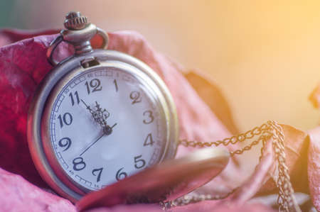Antique pocket clock on dried leaves made with filterの写真素材