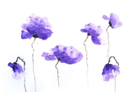 Stylized poppy flowers painting on whiteの写真素材