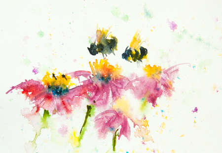Pink flowers and bees on white background, watercolor painting, floral art, home decorateの写真素材