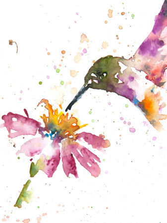 Hummingbird and flower , watercolor painting in impressionism style, home decorateの写真素材