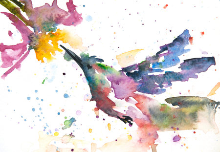 Hummingbird and flower , watercolor painting in impressionism style, home decorateの写真素材