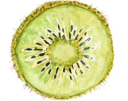 Slice of kiwi fruit on white, fruit art, watercolor painting, kitchen decorateの写真素材