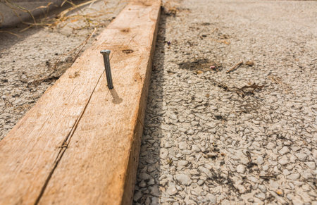 A nail embedded in the timber on the cementの写真素材