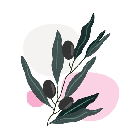 Abstract olive leaves, modern art poster in pastel colors, geometric elements, leaves and berries, olives, design for social networks, cards, print.のイラスト素材