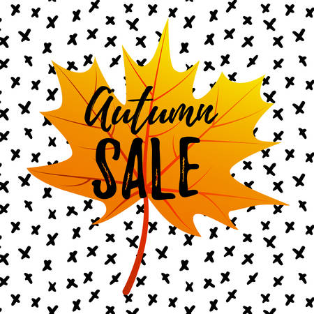 Vector illustration, Autumn   design with leaves  simple background. Autumn sale text.のイラスト素材