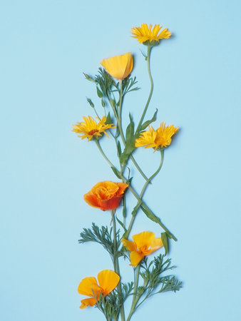 Floral pattern of orange flowers on blue background. Flat lay.