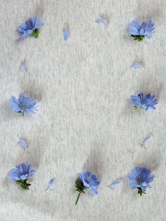 Flower arrangement. Blue flowers on a pastel gray background. Flat position, top view, copy spaceの写真素材