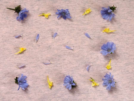 Flower arrangement. Blue flowers on a pastel pink background. Flat position, top view, copy spaceの写真素材